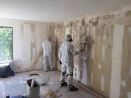 Best Industrial Mold Remediation in Silverdale, WA